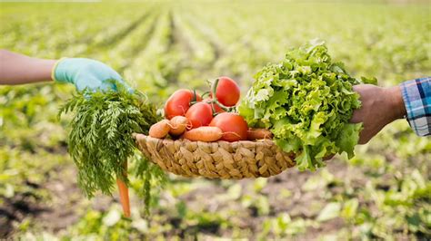 Organic Farming Practices