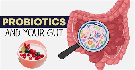 Probiotic for Gut Health