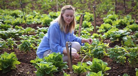 Sustainable Organic Farming